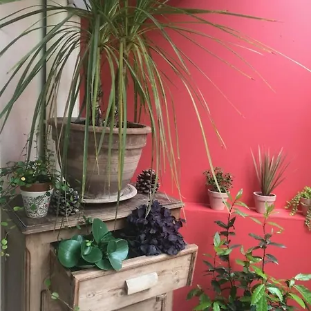 Joli Coeur, Port Marianne, Jardin, Clim, Garage *